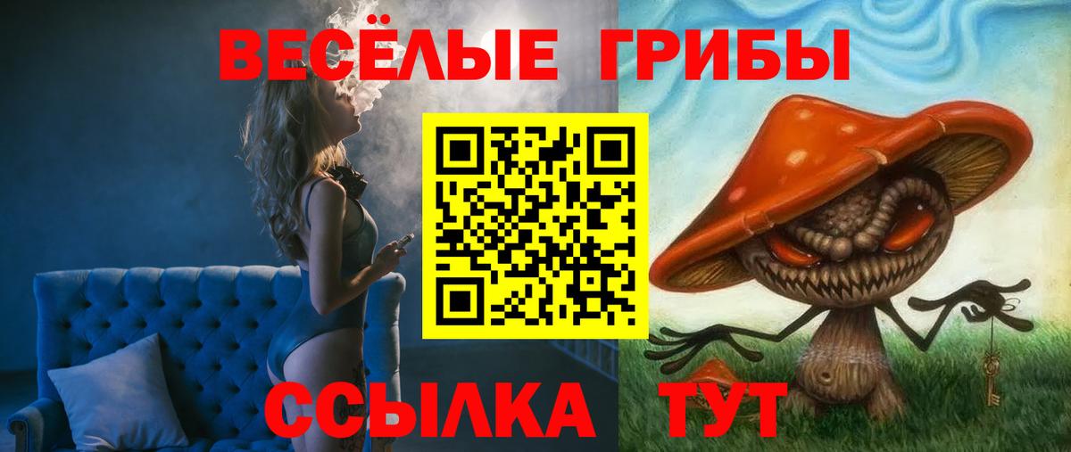 Псилоцибиновые грибы прущие грибы  Вход с VPN  Псилоцибиновые грибы MAGIC MUSHROOMS  Дзержинск 