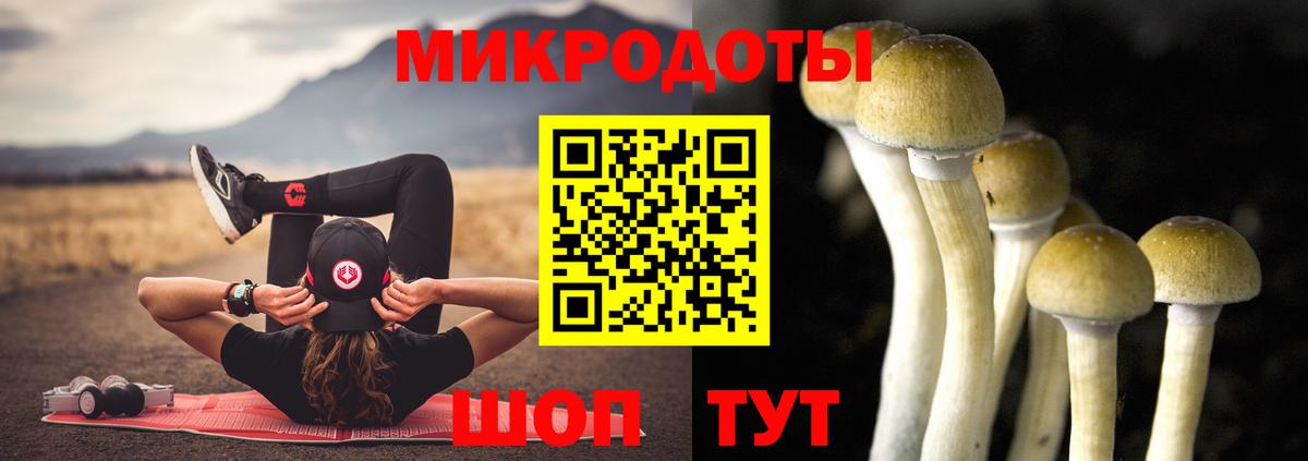 Галлюциногенные грибы мухоморы Дзержинск